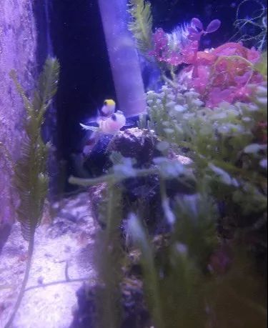 无蛋分无过滤还用自来水？实在是佩服