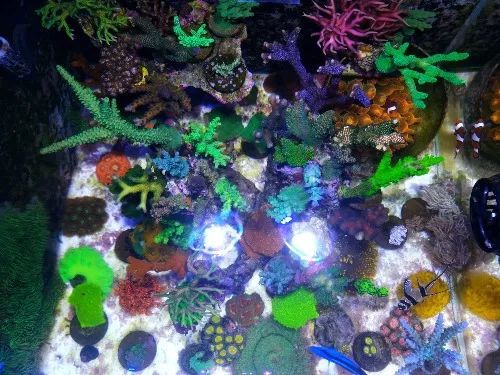 无蛋分无过滤还用自来水？实在是佩服