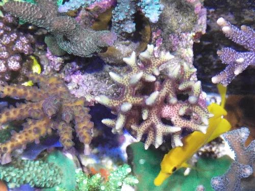 无蛋分无过滤还用自来水？实在是佩服