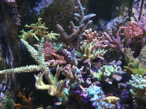 无蛋分无过滤还用自来水？实在是佩服