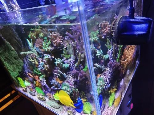 无蛋分无过滤还用自来水？实在是佩服