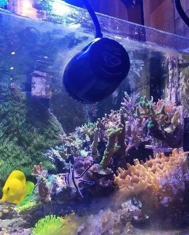 无蛋分无过滤还用自来水？实在是佩服