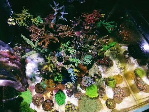 无蛋分无过滤还用自来水？实在是佩服