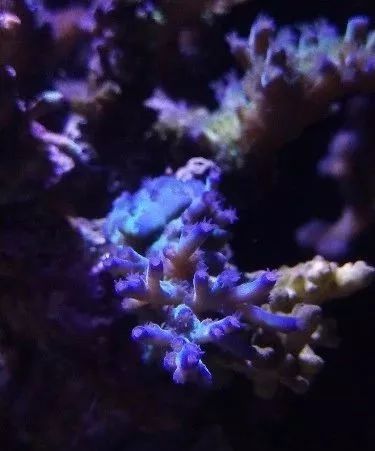 无蛋分无过滤还用自来水？实在是佩服