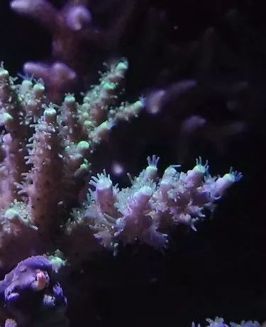 无蛋分无过滤还用自来水？实在是佩服