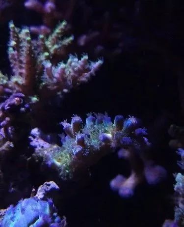 无蛋分无过滤还用自来水？实在是佩服