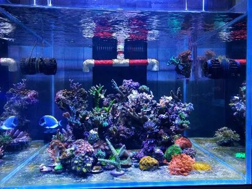 无蛋分无过滤还用自来水？实在是佩服