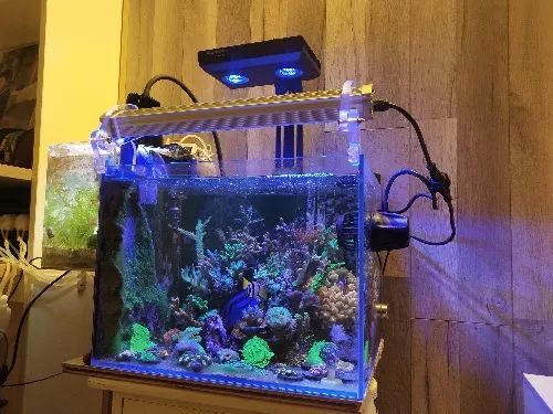 无蛋分无过滤还用自来水？实在是佩服