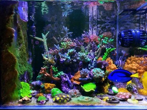 无蛋分无过滤还用自来水？实在是佩服