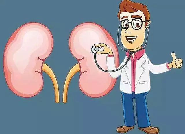 男人肾虚喝什么酒最补肾,肾虚按哪个部位补肾健脾