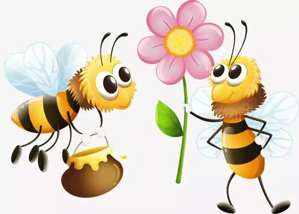 蜂胶到底是什么样子,蜂胶大部分都是真的吗