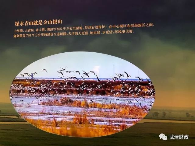 c位闪亮登场,c位登场秀