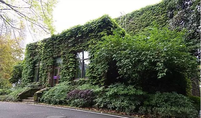 沙坪坝有意思的建筑,探寻重庆老建筑