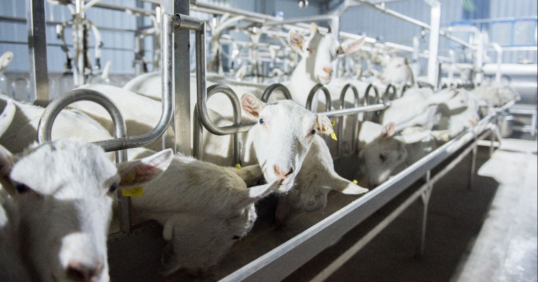 cbme母婴展会2021,cbme母婴展2024