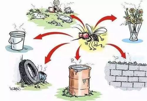 @全体南宁人,赶紧翻盆倒罐动起来!“三红”、“三痛”又是啥?