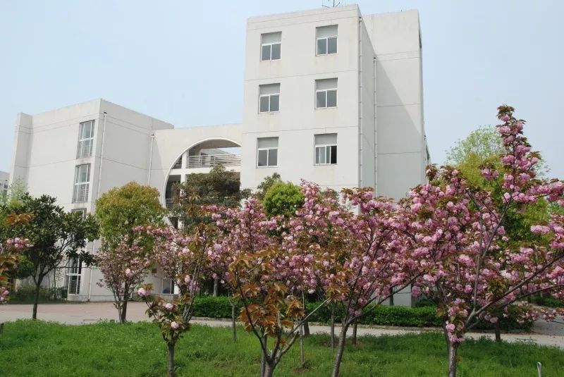 天平学院和天平校区,新天平学院