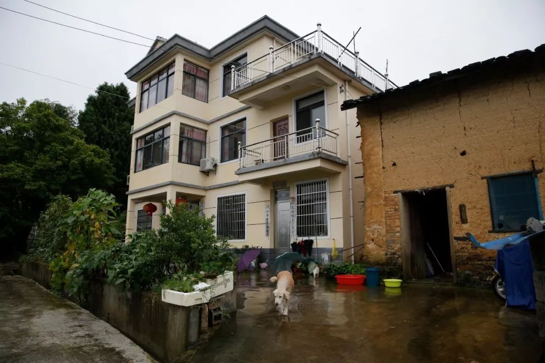 一个携童自杀的女人