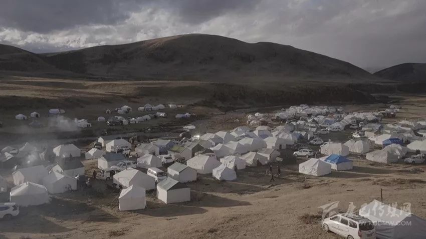 四川藏区最大的虫草产区和交易集散地理塘县启动虫草采集管理工作