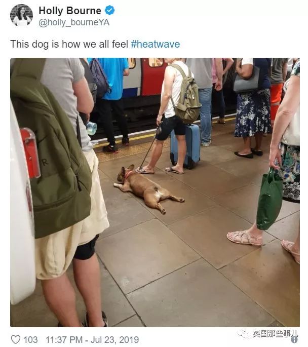 伦敦高温热浪解决,伦敦天气很热