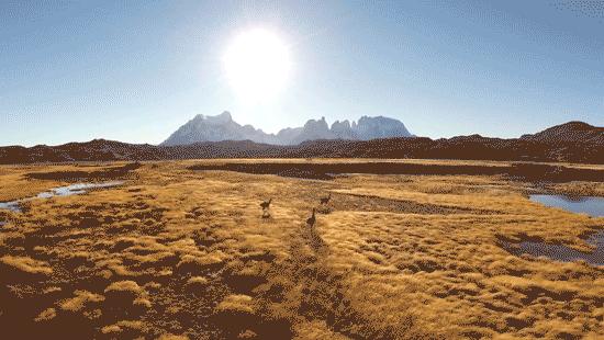 美洲多发各类消化道、接触传播传染病等，谨防来袭！