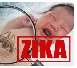 美洲多发各类消化道、接触传播传染病等，谨防来袭！