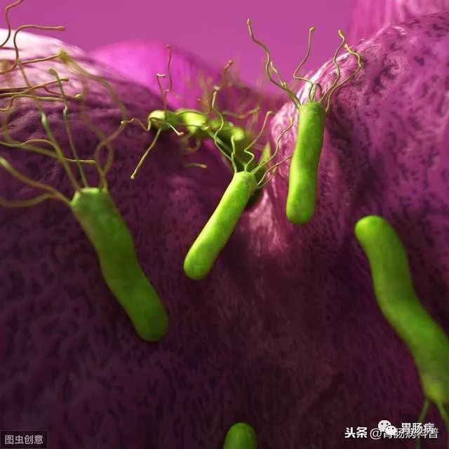 网上说幽门螺杆菌是胃癌的元凶,我查出来阳性,但没有症状,会不会得胃癌?要不要治疗?