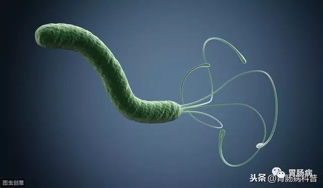 网上说幽门螺杆菌是胃癌的元凶,我查出来阳性,但没有症状,会不会得胃癌?要不要治疗?