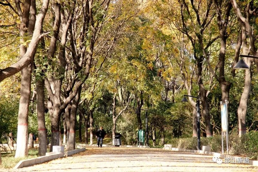 一分钟了解邯郸邯山区,邯郸邯山区介绍