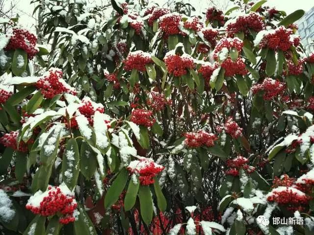 一分钟了解邯郸邯山区,邯郸邯山区介绍