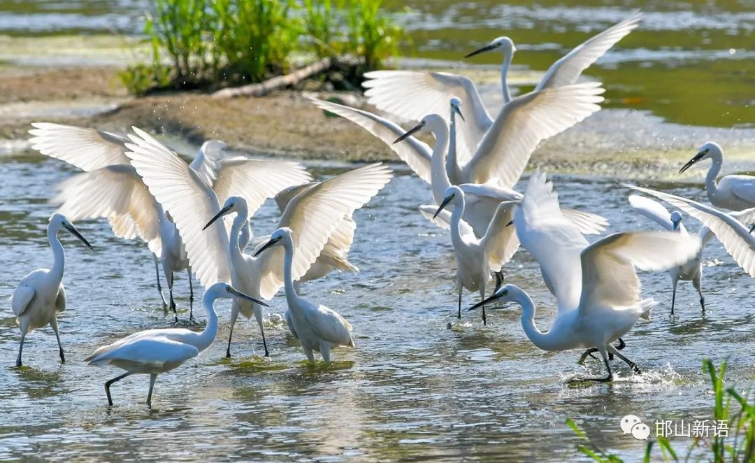 一分钟了解邯郸邯山区,邯郸邯山区介绍