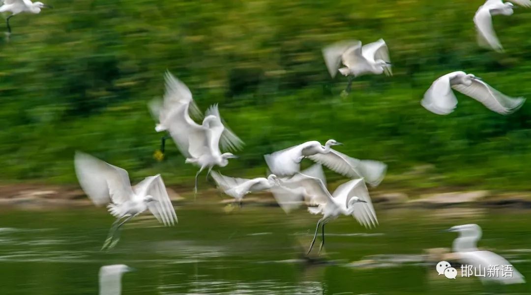 一分钟了解邯郸邯山区,邯郸邯山区介绍