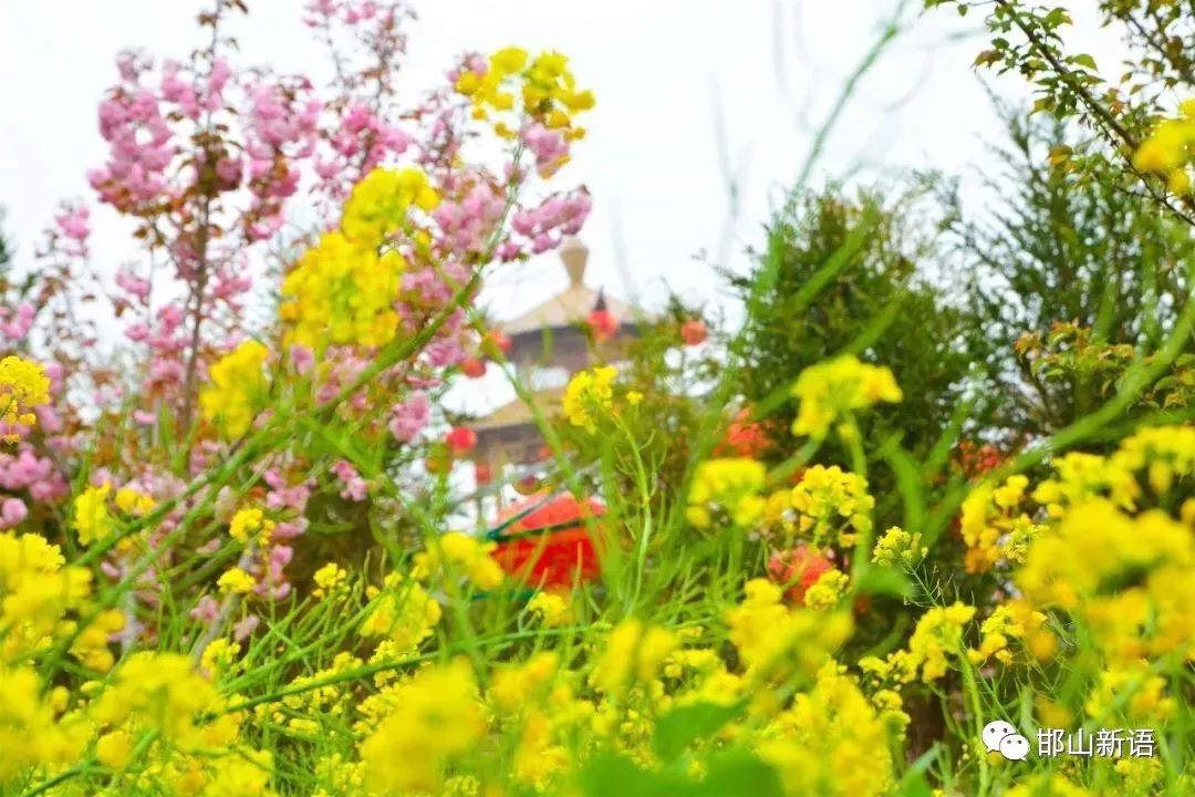 一分钟了解邯郸邯山区,邯郸邯山区介绍