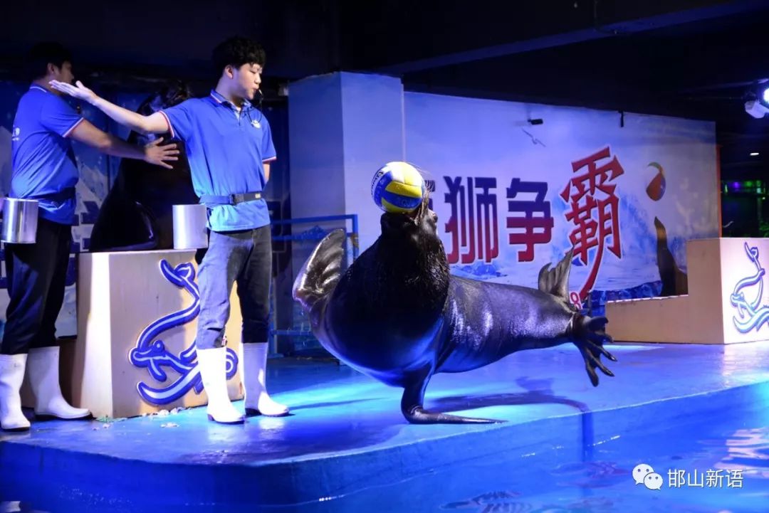 一分钟了解邯郸邯山区,邯郸邯山区介绍