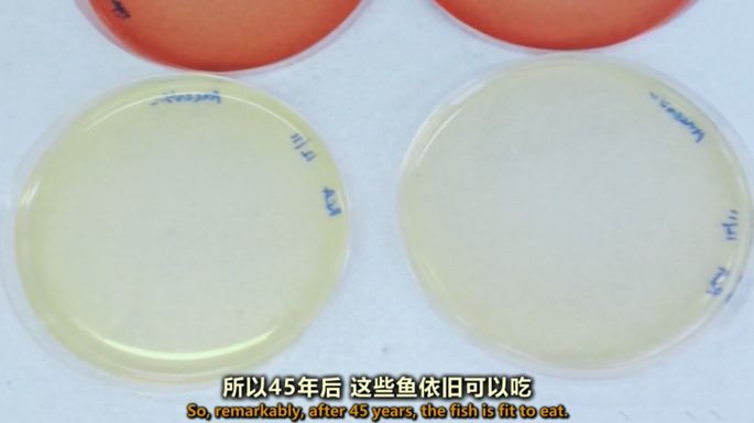 上海|想花1折的钱,买到进口的精致生活?跟着上海阿姨走就对了