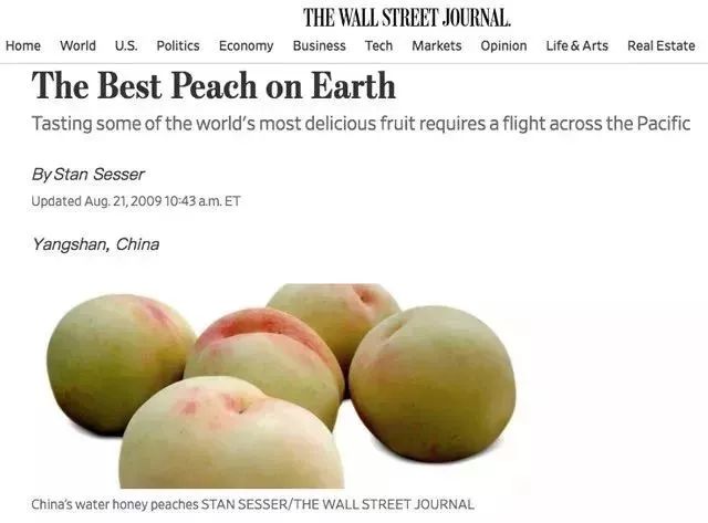 办公室美食人格，你是哪一种？