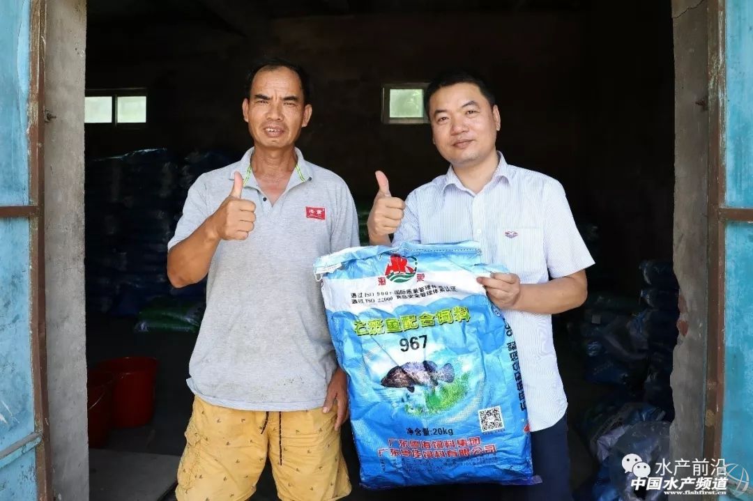 国内能养的虎类品种排行,什么品种的虎最好养