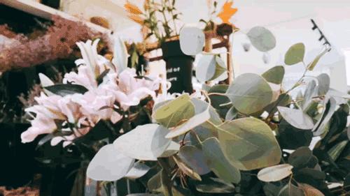 作为女朋友的你合格了吗选择题,作为女朋友的你合格了吗