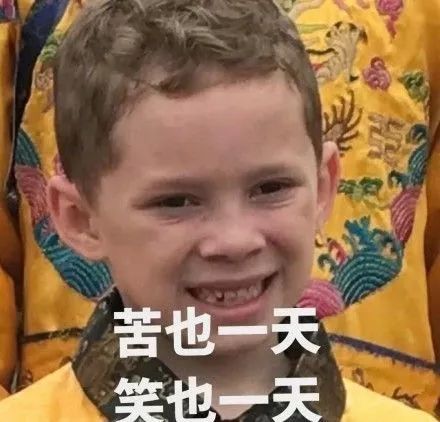 多少报账的研究生，最后都熬成课题组大师兄...