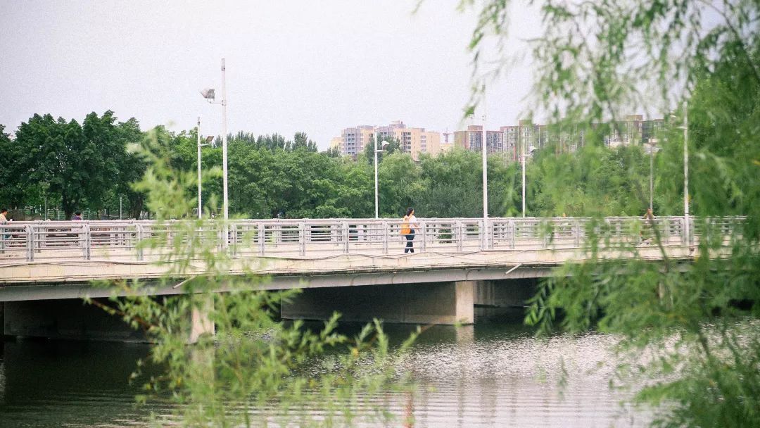 再见宜宾完整版,再见江小白歌曲