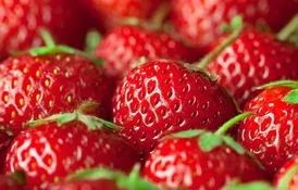 十大水果营养价值排行榜,水果中营养价值最高的是什么水果