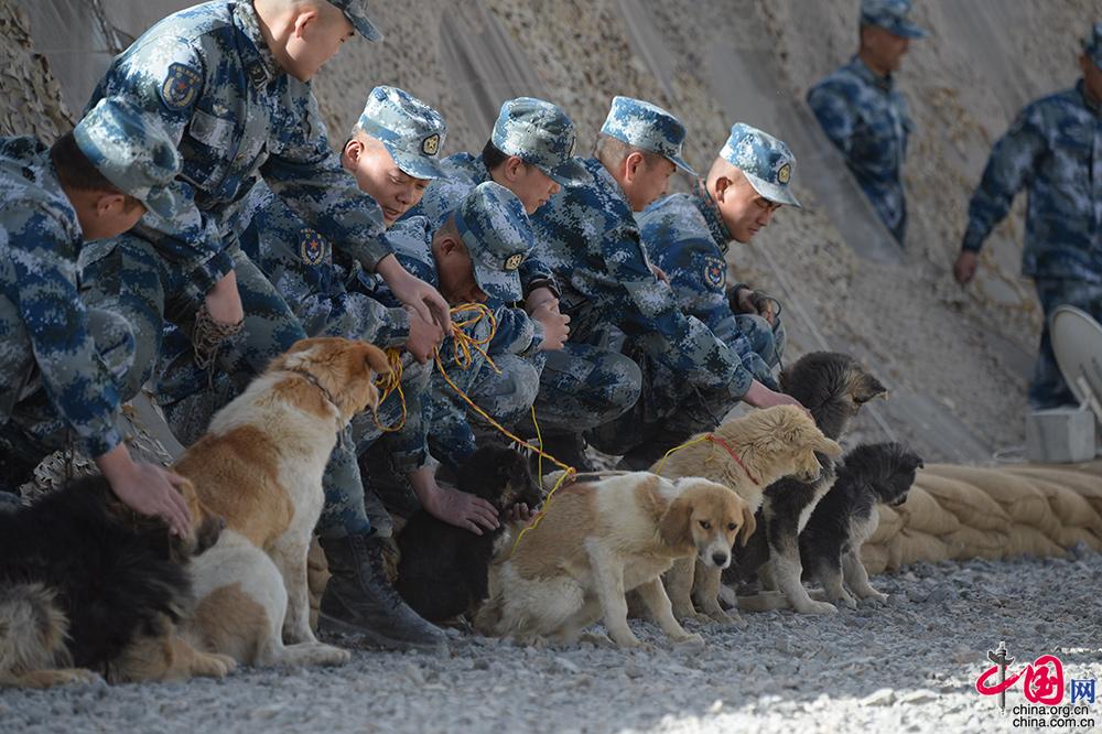 “生命禁区”的雷达兵