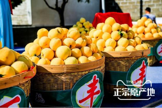 炎陵黄桃品牌大全,炎陵黄桃品牌