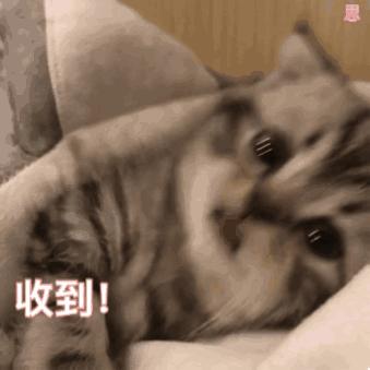 祛疤痕最快最有效的方法安全,怎么祛疤痕最有效方法