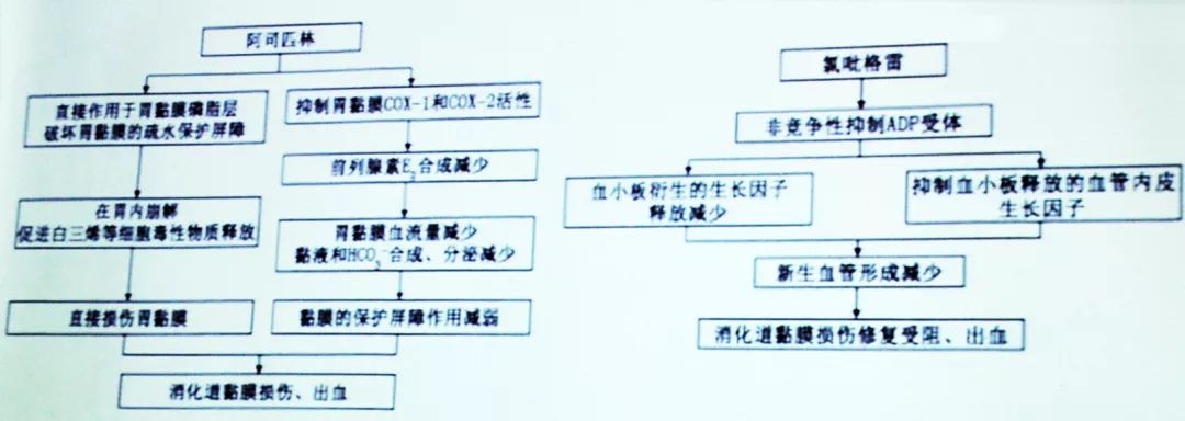 李自成:双抗治疗过程中发生出血如何处理?|OCC2019