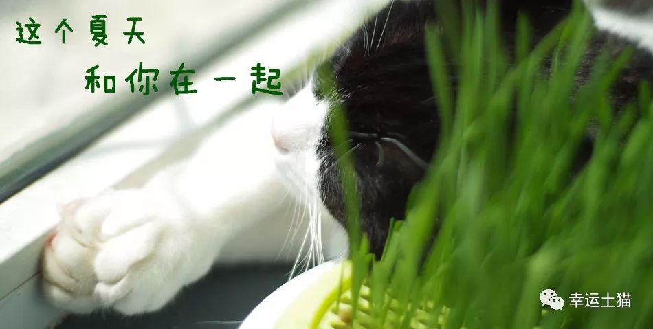 骞歌繍鍦熺尗,骞歌繍鍦熺尗涔夊崠灏忛摵