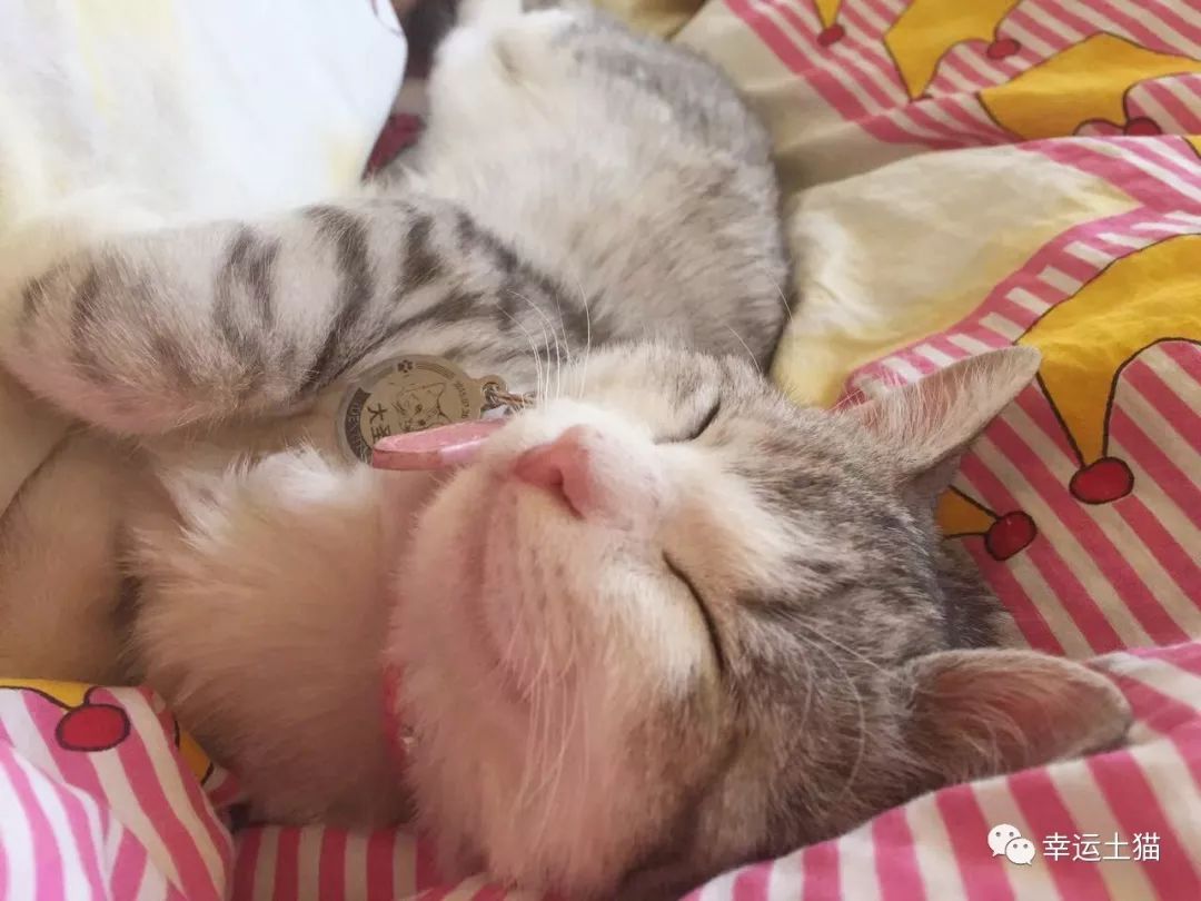 骞歌繍鍦熺尗,骞歌繍鍦熺尗涔夊崠灏忛摵