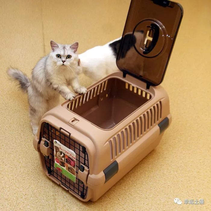 骞歌繍鍦熺尗,骞歌繍鍦熺尗涔夊崠灏忛摵