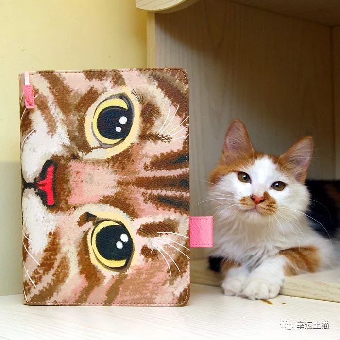 骞歌繍鍦熺尗,骞歌繍鍦熺尗涔夊崠灏忛摵