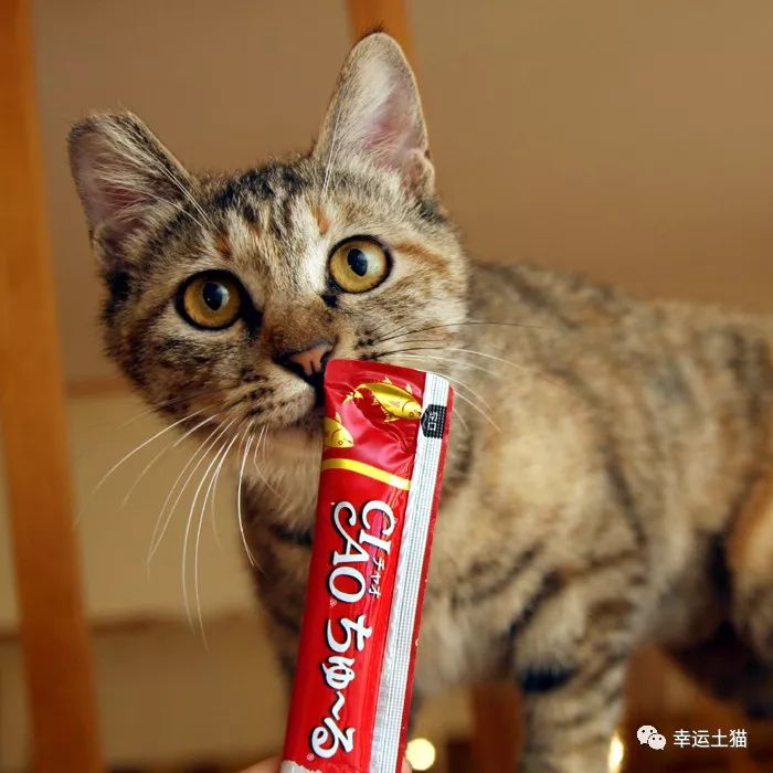 骞歌繍鍦熺尗,骞歌繍鍦熺尗涔夊崠灏忛摵