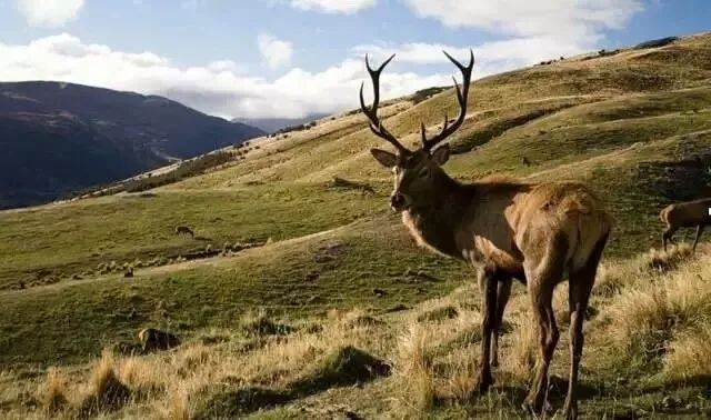 穿着舒服平价的高跟鞋,一双四季都能穿得舒服的高跟鞋